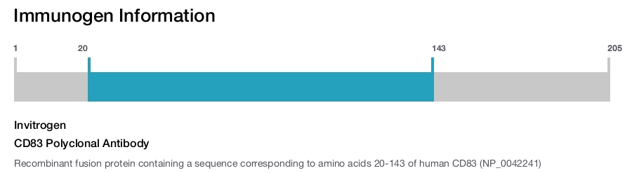 CD83 Polyclonal Antibody