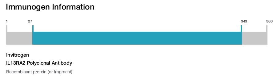 IL13RA2 Polyclonal Antibody