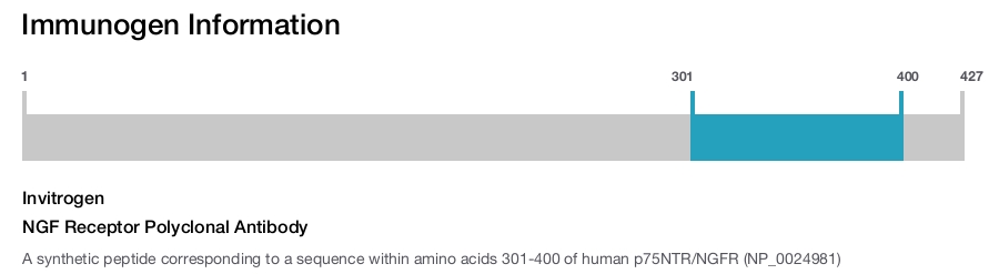 NGF Receptor Polyclonal Antibody