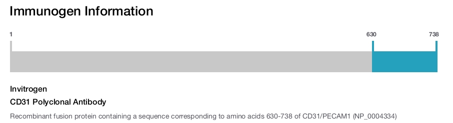 CD31 Polyclonal Antibody