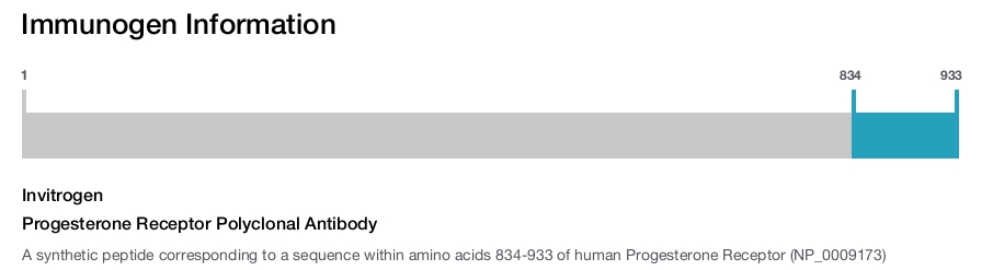 Progesterone Receptor Polyclonal Antibody