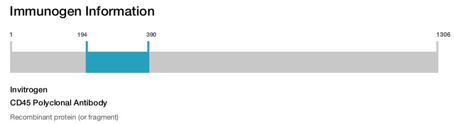 CD45 Polyclonal Antibody