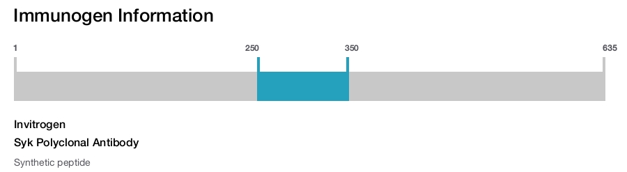 Syk Polyclonal Antibody