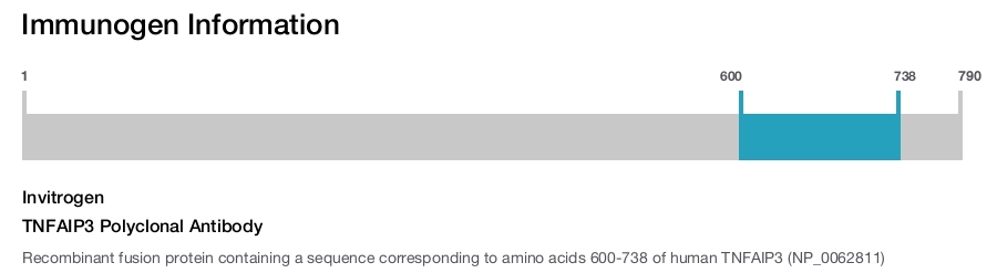 TNFAIP3 Polyclonal Antibody