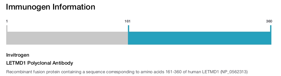 LETMD1 Polyclonal Antibody