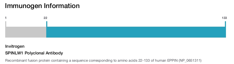 SPINLW1 Polyclonal Antibody