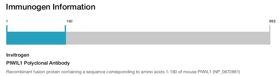 PIWIL1 Polyclonal Antibody