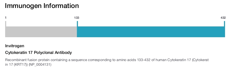 Cytokeratin 17 Polyclonal Antibody
