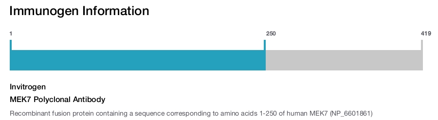 MEK7 Polyclonal Antibody