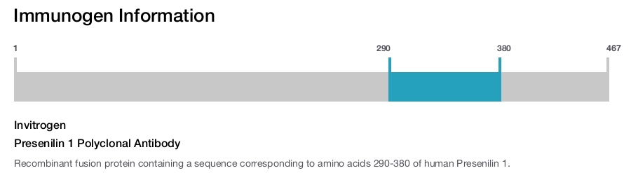 Presenilin 1 Polyclonal Antibody