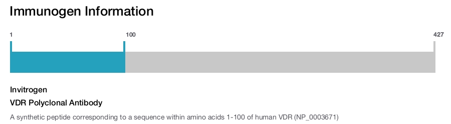 VDR Polyclonal Antibody