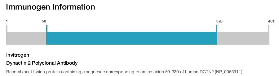 Dynactin 2 Polyclonal Antibody