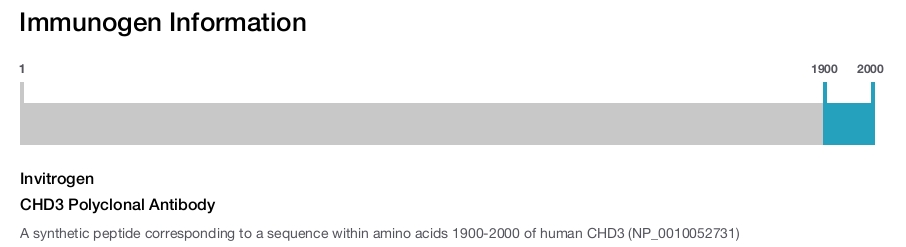 CHD3 Polyclonal Antibody