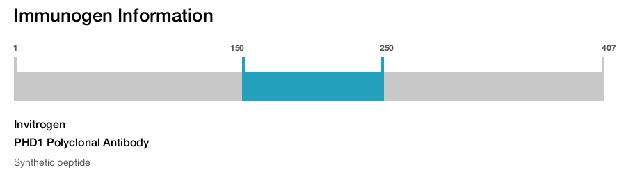 PHD1 Polyclonal Antibody