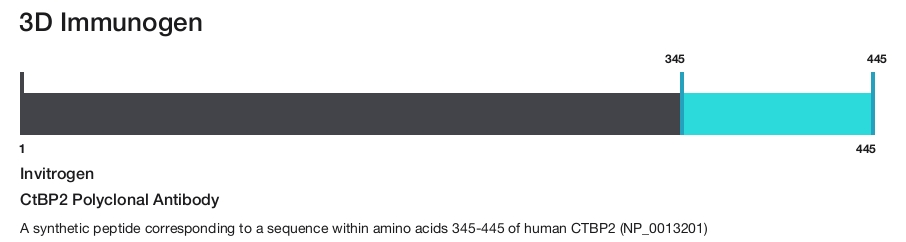 CtBP2 Polyclonal Antibody
