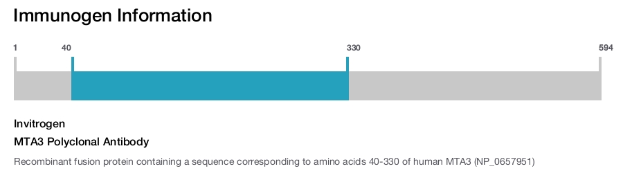 MTA3 Polyclonal Antibody