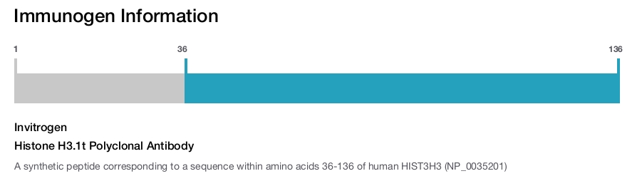 Histone H3.1t Polyclonal Antibody