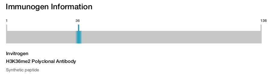 H3K36me2 Polyclonal Antibody