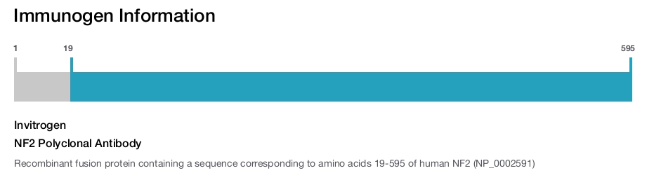 NF2 Polyclonal Antibody