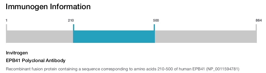 EPB41 Polyclonal Antibody