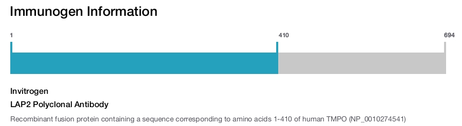 LAP2 Polyclonal Antibody