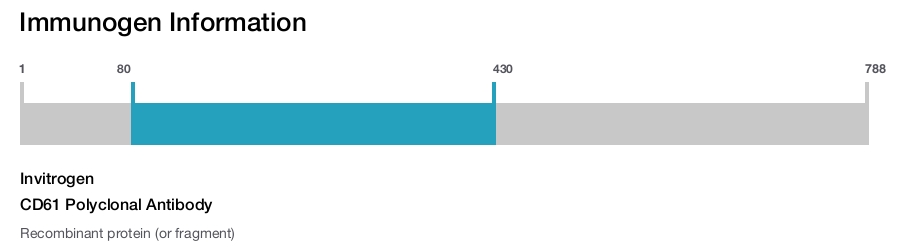 CD61 Polyclonal Antibody
