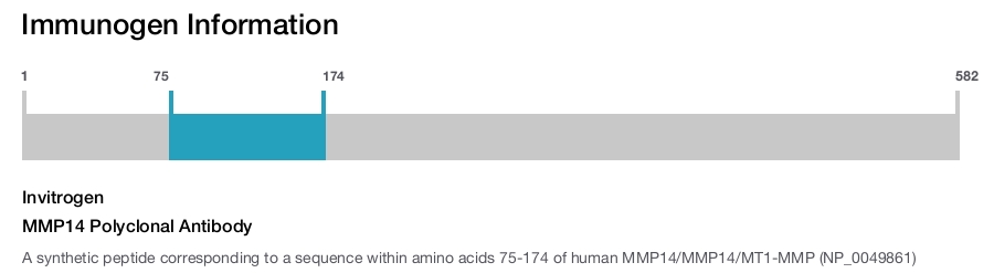 MMP14 Polyclonal Antibody