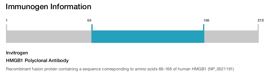 HMGB1 Polyclonal Antibody