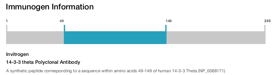 14-3-3 theta Polyclonal Antibody
