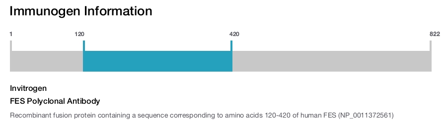 FES Polyclonal Antibody