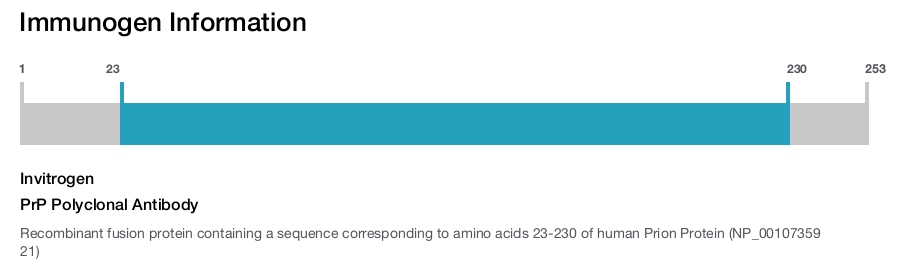 PrP Polyclonal Antibody
