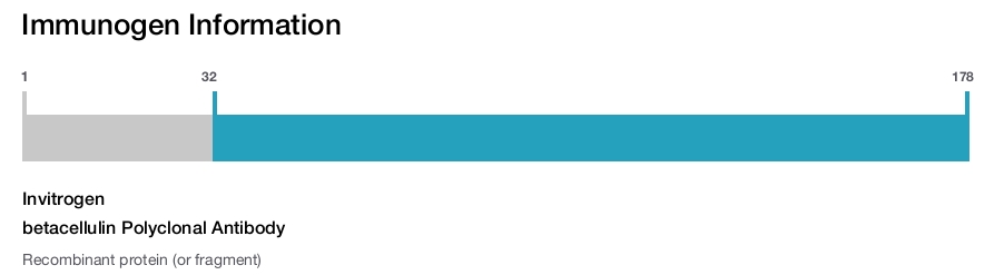 betacellulin Polyclonal Antibody