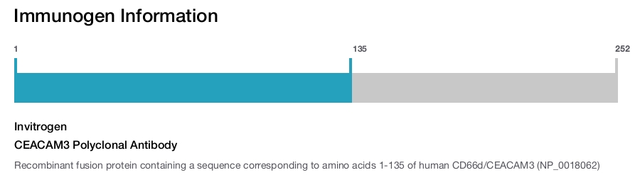 CEACAM3 Polyclonal Antibody