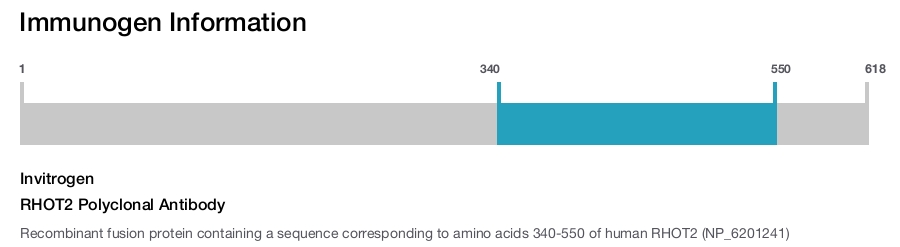 RHOT2 Polyclonal Antibody