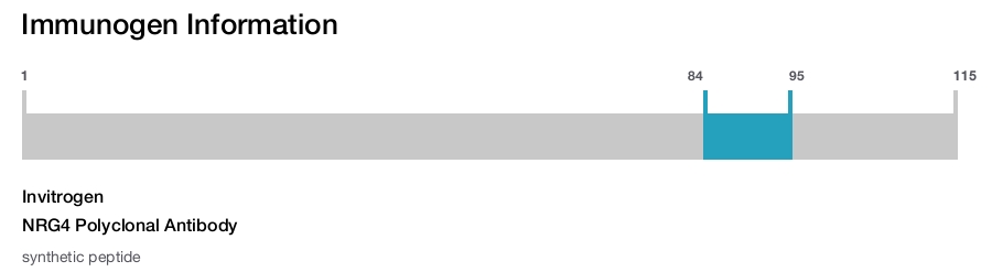 NRG4 Polyclonal Antibody