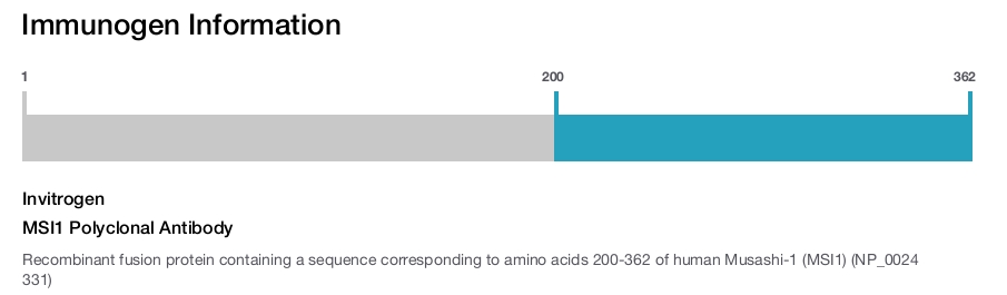 MSI1 Polyclonal Antibody