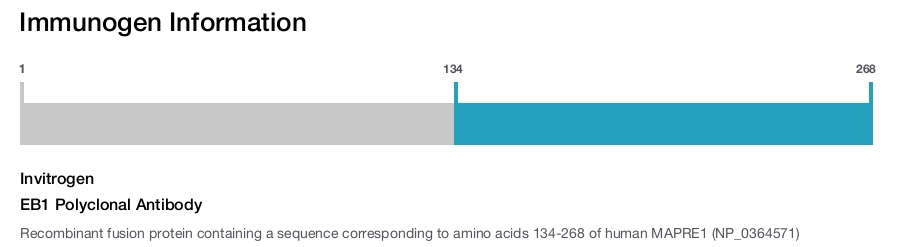 EB1 Polyclonal Antibody