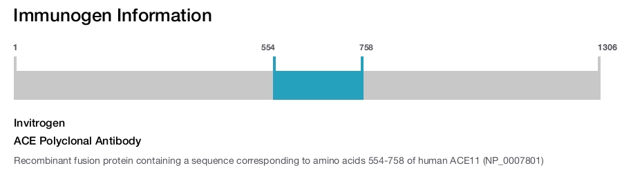 ACE Polyclonal Antibody