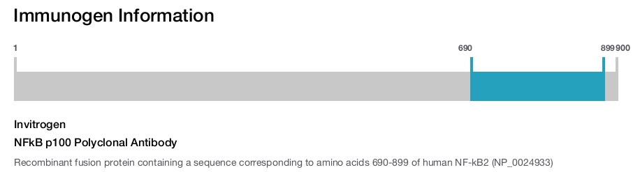 NFkB p100 Polyclonal Antibody