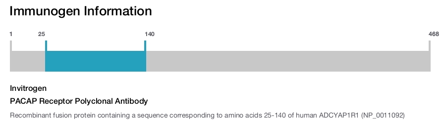 PACAP Receptor Polyclonal Antibody