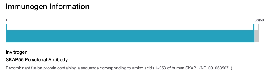 SKAP55 Polyclonal Antibody