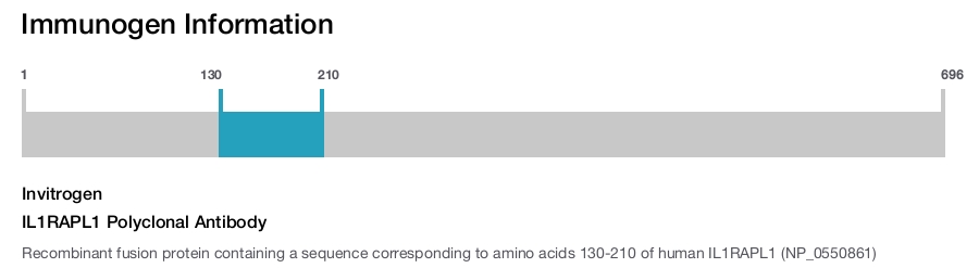 IL1RAPL1 Polyclonal Antibody