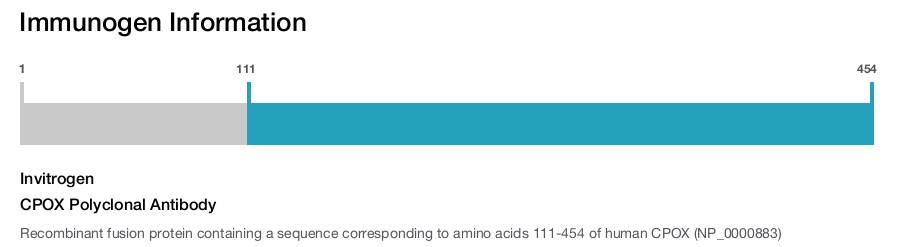 CPOX Polyclonal Antibody