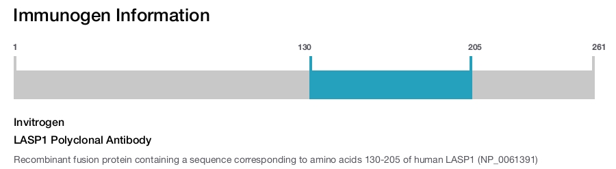 LASP1 Polyclonal Antibody