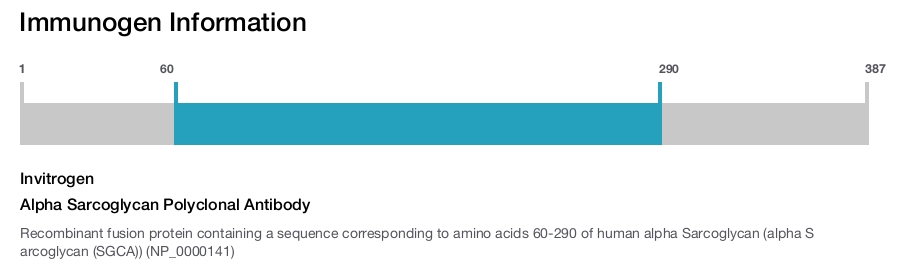 Alpha Sarcoglycan Polyclonal Antibody