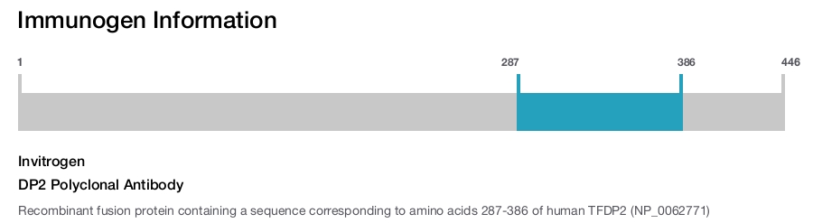 DP2 Polyclonal Antibody