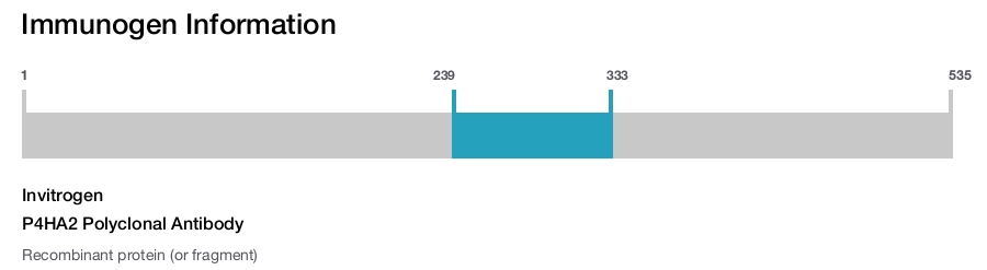 P4HA2 Polyclonal Antibody