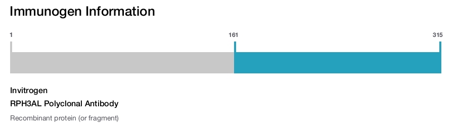 RPH3AL Polyclonal Antibody