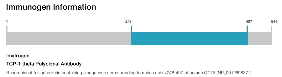 TCP-1 theta Polyclonal Antibody
