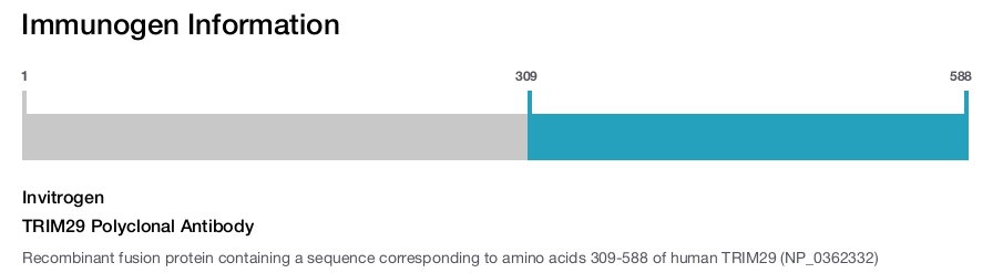 TRIM29 Polyclonal Antibody